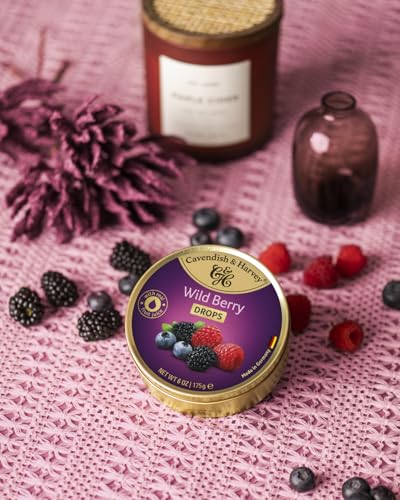 cavendish-harvey-wild-berry-drops-fruchtbonbons-175g-dose image 6