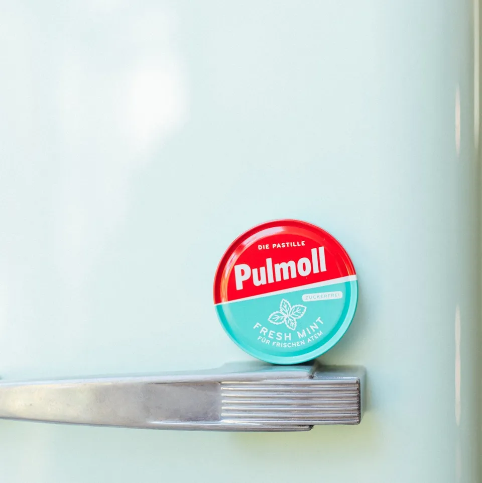 pulmoll-fresh-mint-zuckerfrei-minz-pastillen-10-x-50-g-karton image 1